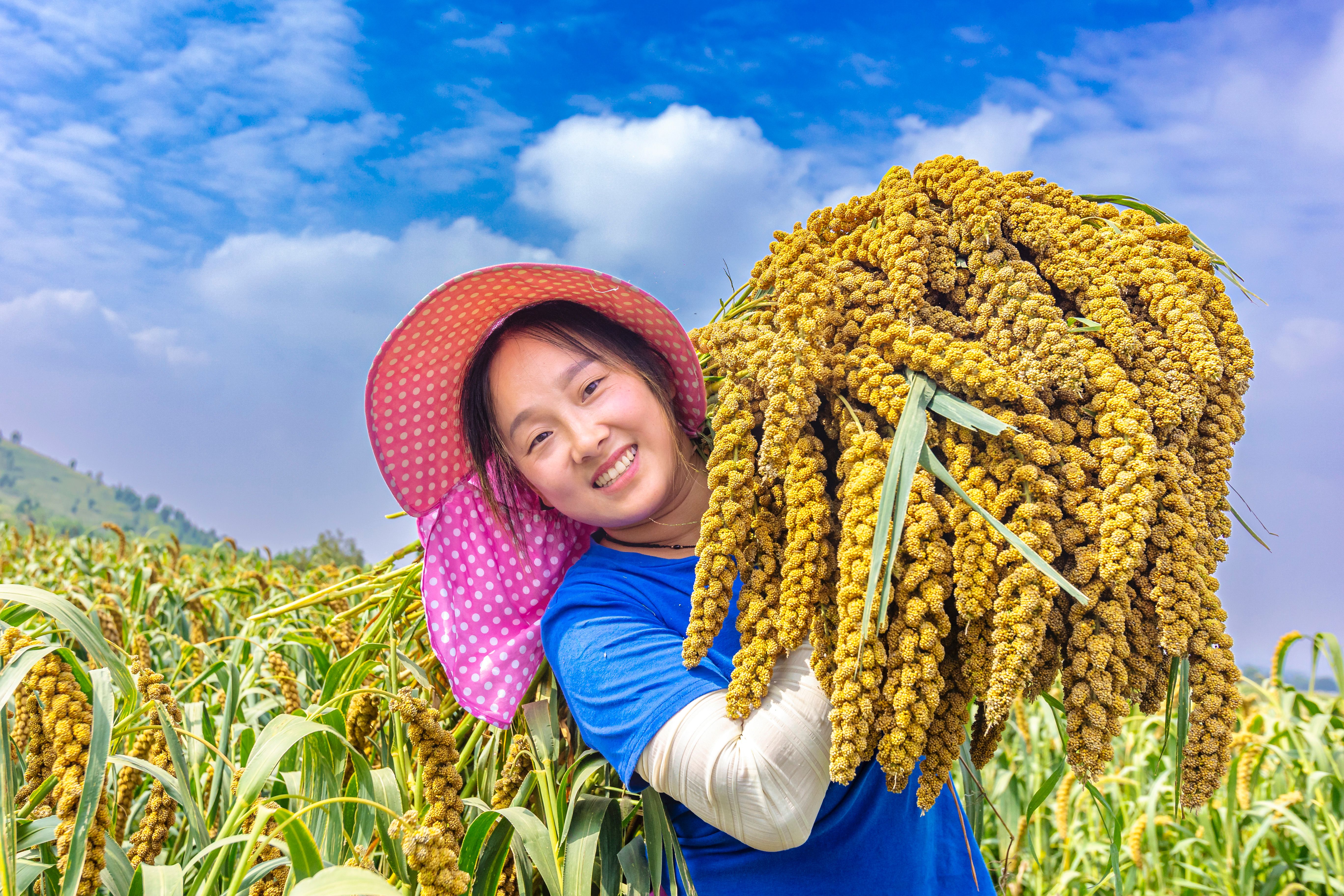 58.《豐收的喜悅》夏縣農(nóng)商銀行王剛 (2)
