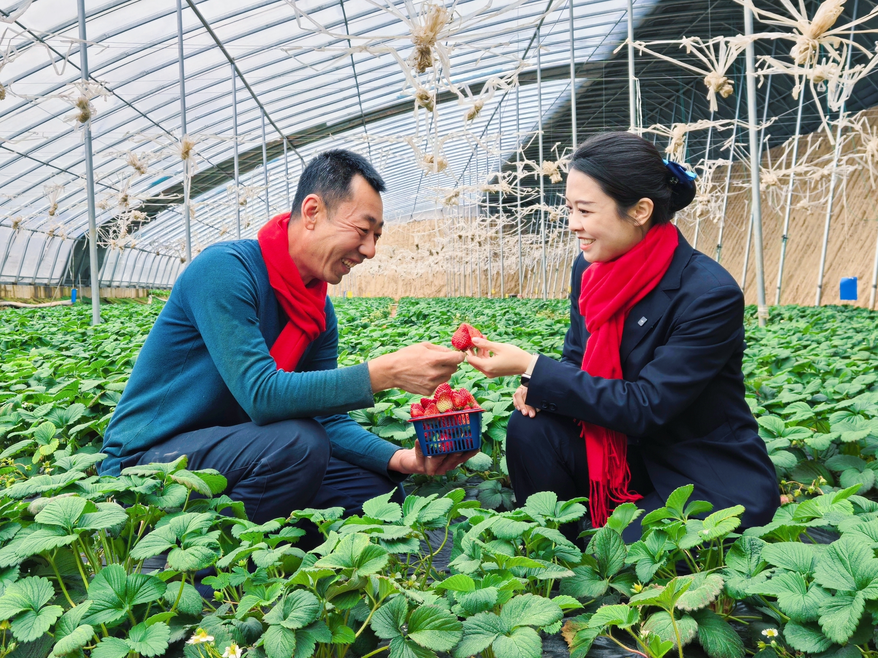 不誤農(nóng)時(shí)不負(fù)春 山西農(nóng)商行馬不停蹄抓實(shí) 春耕備耕金融服務(wù)