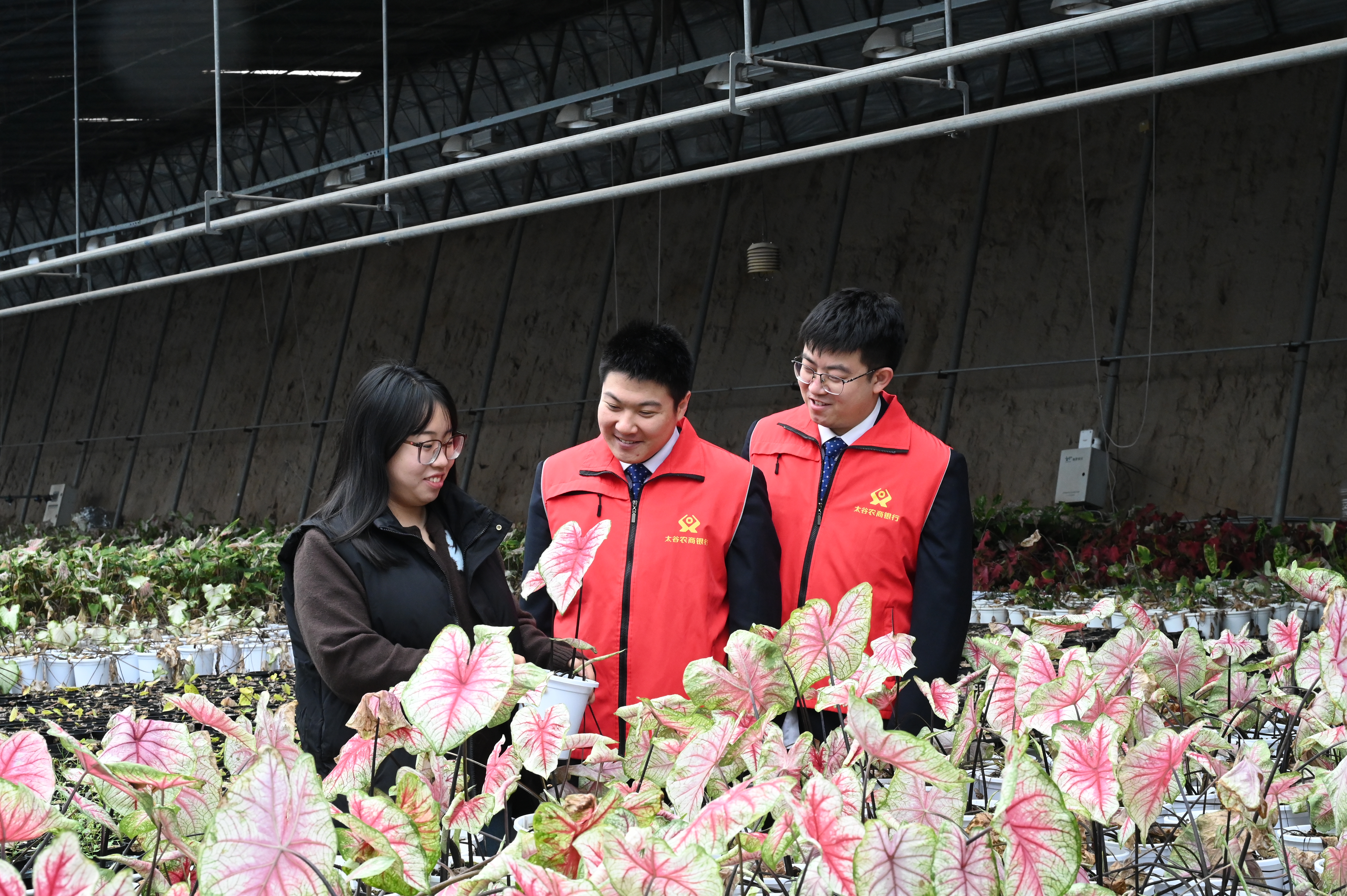 扎根三晉 有溫度 有速度 有精度 ——山西農(nóng)商銀行以金融之力繪就惠民興農(nóng)新圖景